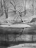 by William Boyer