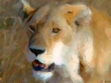by Alexander Layevsky