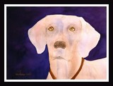 by Nancy Woolweber