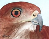 by Nancy Woolweber