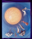 by S. JoBeth  Sexton