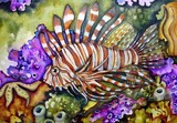 by Lisa Luree