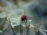 by Kimberly Tilley