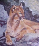 by Julieanne Hall