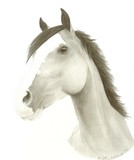 by White Horse Design Studio