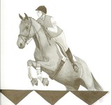 by White Horse Design Studio