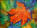 by Hafeez Shaikh