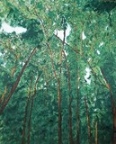 by Gail Nordlof