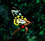 by sharon hendrickson