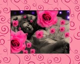 by blondeart love