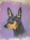 by JANIE THOMPSON-LIDE