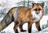 by Terri Walker