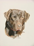 by Belinda Matthews