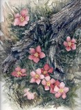 by Vicki Lerfald