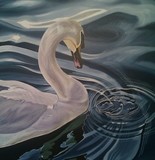 by Allison Wild