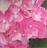 by Henny Adank
