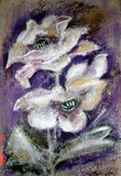 by Tahany El Banna