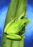 by Tracey  Riedel