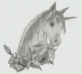 by fannie 