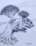 by James Anderson