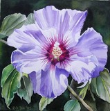 by Doris Joa