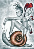 by Crystal Dunne