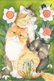 by Brenda Mousseau