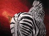 by Kathie Miller