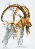 by Barbara Keith