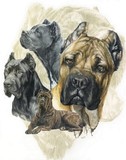 by Barbara Keith