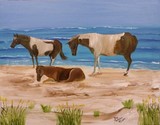 by Donald Schrier