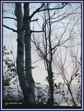 by Heli Aarniranta