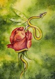 by Lucie Stara