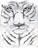 by Marja-Leena Pihlajamaki