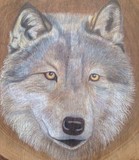 by Diane Greenhorn