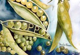 by Marilyn Brown