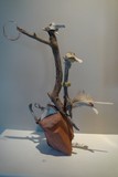by fredie cumberland II