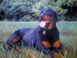 by Carolyn Taylor
