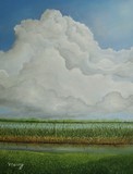 by alicia maury
