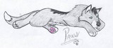 by Paws BrokenSpirit