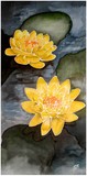 by Sharon Simmons