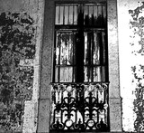 by jose garcia