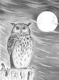 by mark farrell