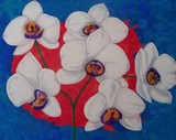 by Elizabeth Janus