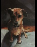 by Kathy Schoeppner