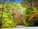 by Cynthia Stayte