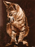 by konstantinos pimba
