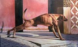 by Donald Chretien