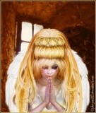 by Paula Hogan