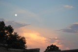 by Debra Kott